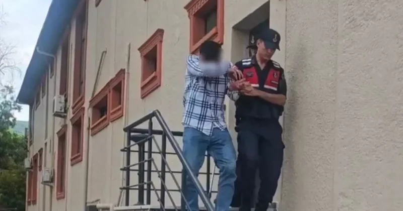 Kurbanlıkları çalan çift yakayı ele verdi