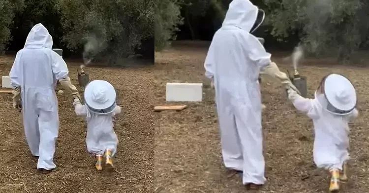Bir zamanlar saraylarda yaşayan bir prensesti… Şimdi küçük kızıyla peteklerden bal topluyor