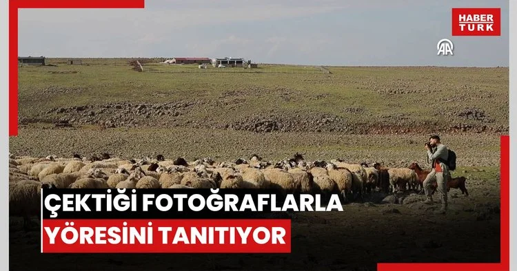 Diyarbakırl ı çoban hayvan otlatırken çektiği fotoğraflarla yöresini tanıtıyor