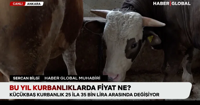 Bu yıl kurbanlıklarda fiyat ne?