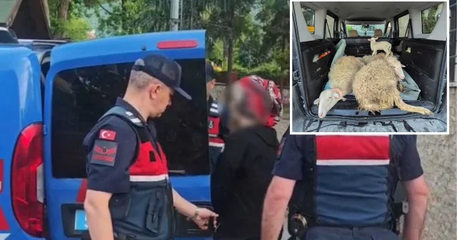 Sakarya da kurbanlıkların parasını ödemeden kaçan evli çift tutuklandı Gündem Haberleri