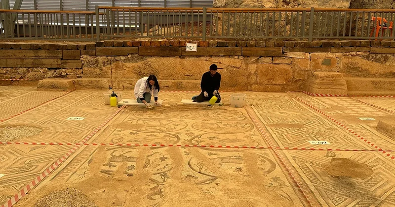 Cennet Bahçesi mozaiğinde restorasyon ve konservasyon başladı