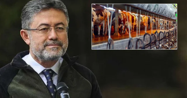 Bakan Yumaklı yeni hayvancılık desteklerini paylaştı Ekonomi Haberleri