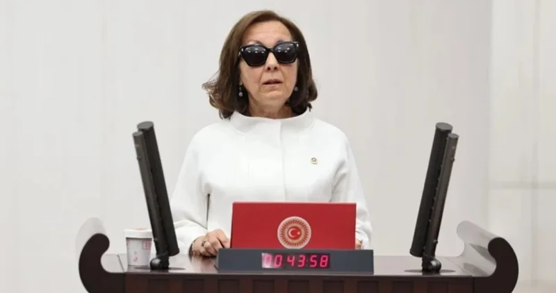 Anayasa Komisyonu nda Özbudun bilmecesi... Bir varmış bir yokmuş