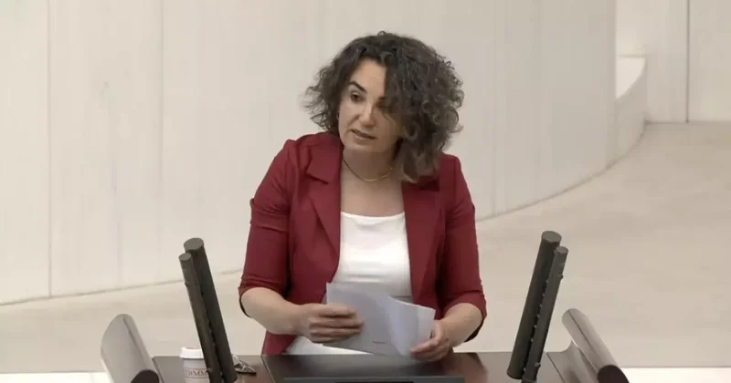 DEM Partili vekilden ‘LGBT’lilerin hormon ilaçlarını devlet karşılasın’ çağrısı