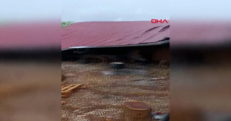 Rüzgar çatı uçurdu, ağaçlar kökünden devrildi
