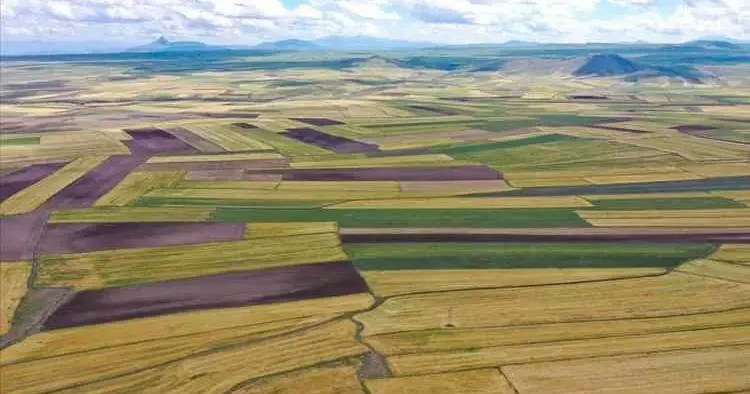 Hazine den ucuz arsa satışı! İşte o iller