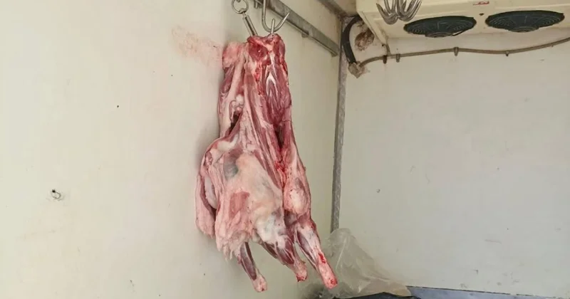 Hatay da sağlıksız koşullarda taşınan 34 kilogram et ele geçirildi
