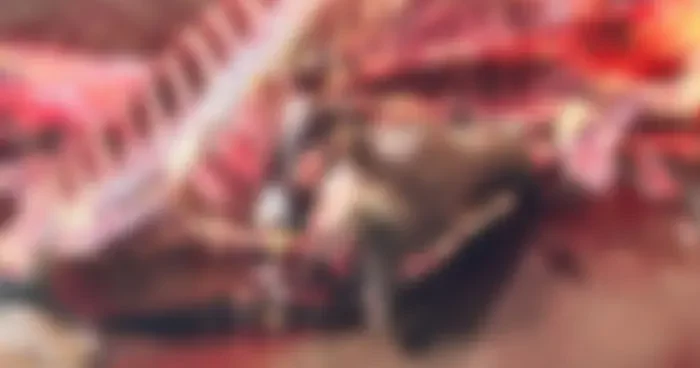 Gıdada skandal bitmiyor! Piyasaya sürmüşler: Tam 2,5 ton tek tırnaklı hayvan eti ele geçirildi