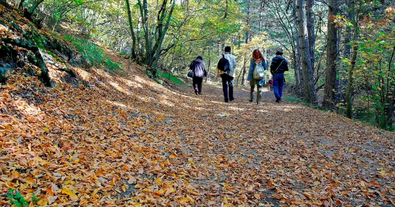 İki ilimizde ormanlara girişler yasaklandı