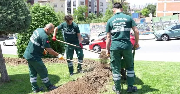 İstanbul haberleri Bağcılar da bir ton kahve posası gübre olarak kullanıldı 29 Mayıs 2025
