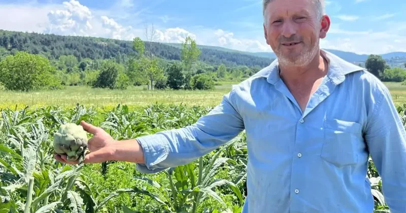 Bursa da Enginar Hırsızlığı Şoku