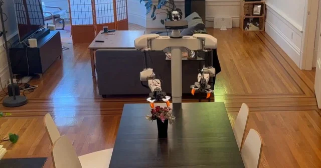 Akıllı ev robotu evin tüm işlerini kısa sürede yapıp bitirdi VİDEO İZLE