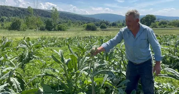 Bursa haberleri Akıllara durgunluk veren hırsızlık: Tarladaki hasadını bir gecede çaldılar 29 Mayıs 2025