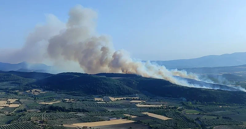 Orman yangınlarıyla ilgili 11 kişi gözaltında