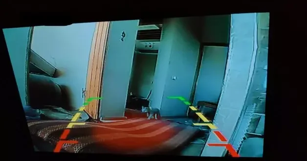 Köpeğe güvenen İsrail askerinin feci sonu! Kassam Tugayları araba kamerasıyla yayınladı