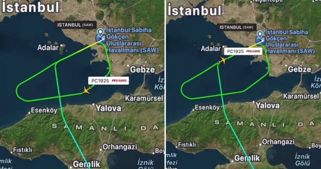Sabiha Gökçen Havalimanı nda pistte tavşan alarmı: Ercan İstanbul seferini yapan uçağı pisti pas geçmek zorunda kaldı Aktüel Haberleri