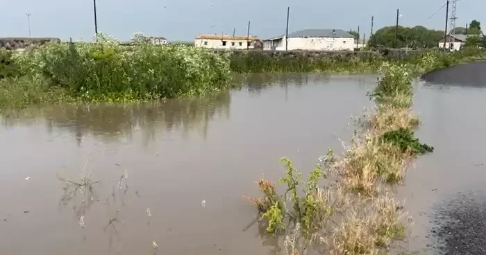 Kars ta ahırlar ve ekili alanlar sular altında kaldı! Her yıl bu sorunu yaşıyorum