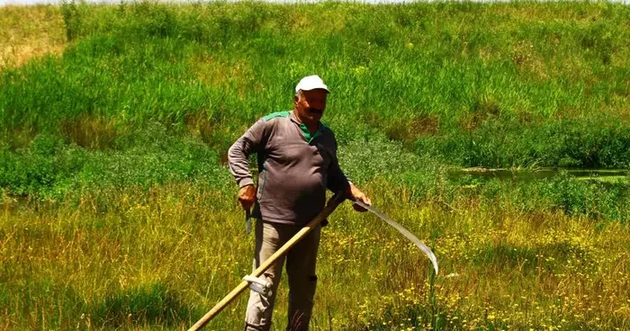Malazgirt te tırpanın son ustası