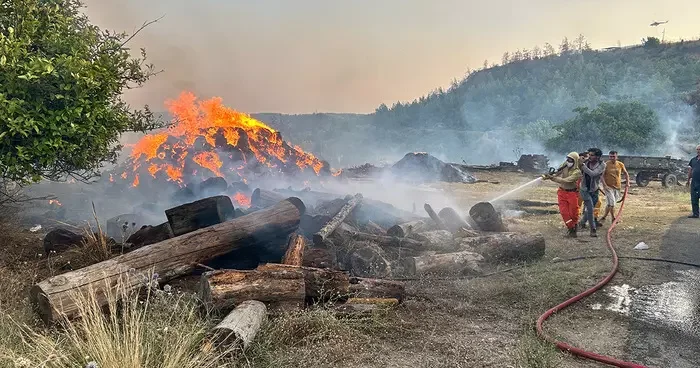 Antalya Aksu da orman yangını! Çok sayıda ekip sevk edildi