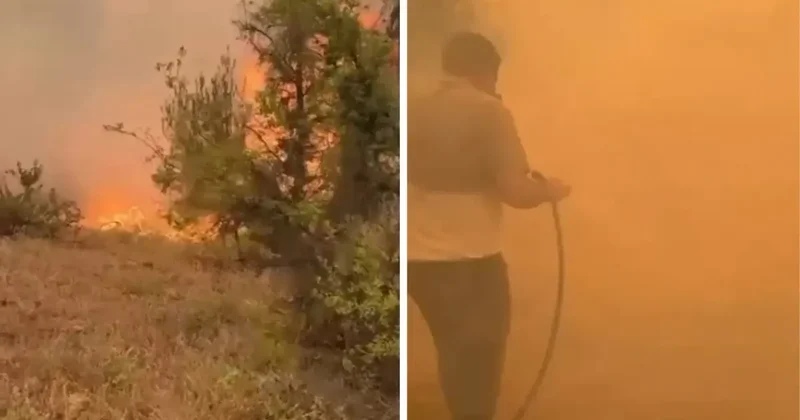 Türkiye yangınlarla boğuşuyor! Gelen görüntüler yürek burktu