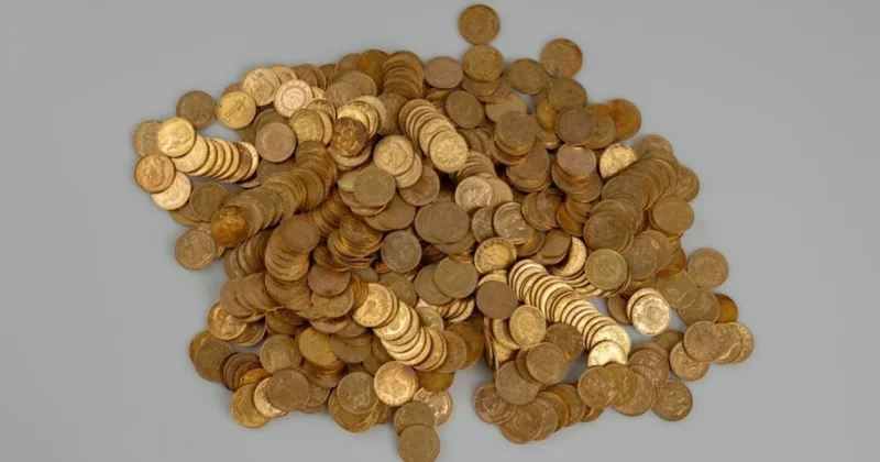 Yürüyüşe çıktılar, rastgele buldular! Değeri 27 milyon lira Sözcü Gazetesi