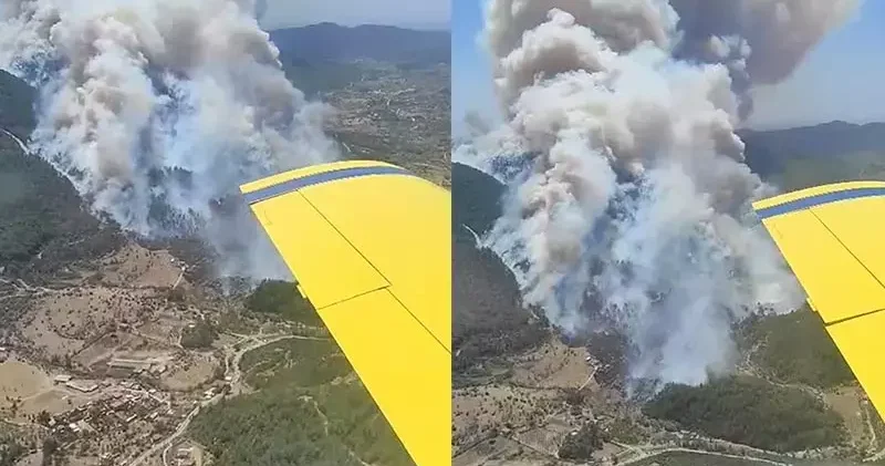 İzmir de 2 ayrı noktada orman yangını