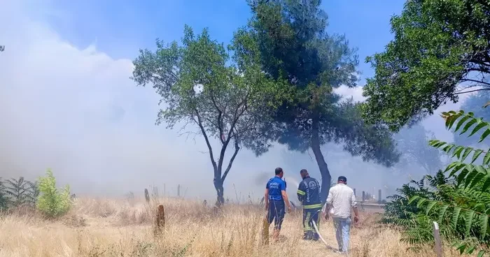 Denizli de otluk alanda çıkan yangın kontrol altında