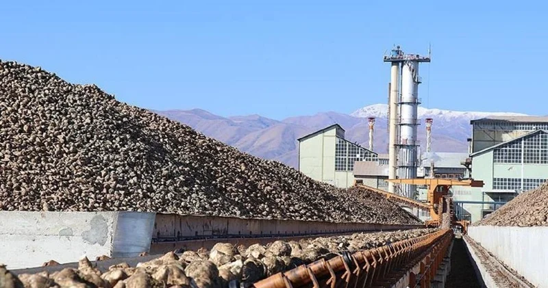 Şeker Fabrikaları ucuz fiyata satıldı, şekere zam kapıda