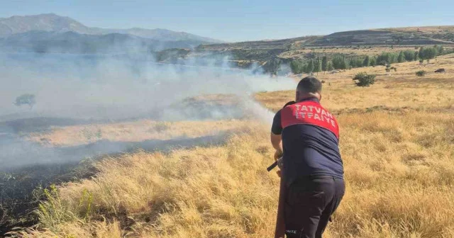 Piknikçilerin mangal ateşi 45 dönümlük alanı küle çevirdi Bitlis Haberleri