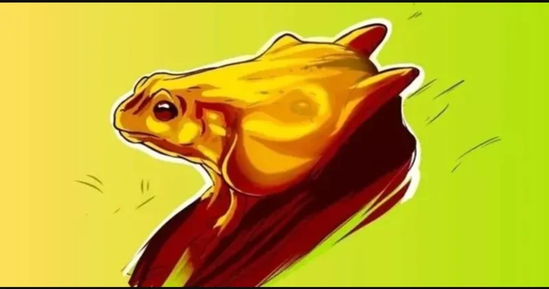 Ailenizin bile bilmediği o yönünüz açığa çıkıyor! Bu resimde kurbağa görenlerin iç dünyası bakın aslında nasılmış
