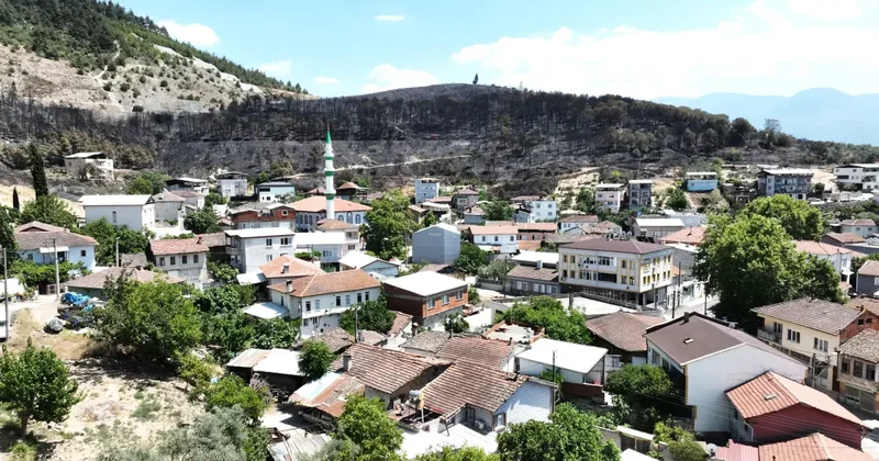 Ciğerimizi yakan görüntü! Yemyeşil orman manzaraları şimdi kömürlüğe döndü