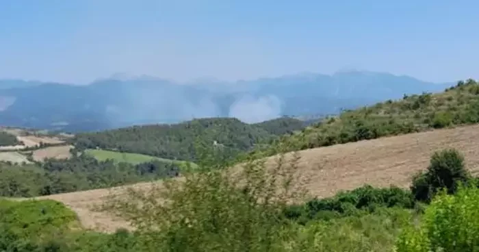 Osmaniye de orman yangını başladı