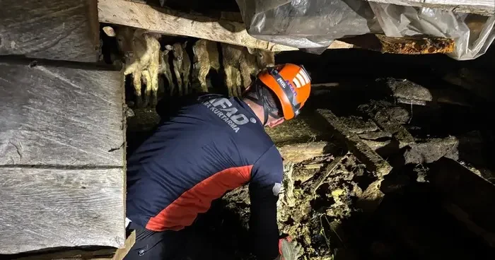 Artvin de çöken ahırdaki 33 büyükbaş hayvan kurtarıldı