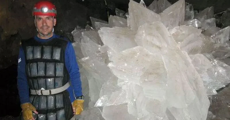Sayılı kişi görebiliyor: Güzelliğiyle büyülüyor, dakikalar içinde hayattan koparıyor Sözcü Gazetesi