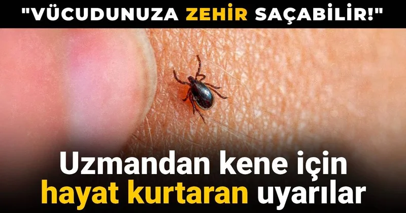 Uzmandan kene için hayat kurtaran uyarılar: Vücudunuza zehir saçabilir