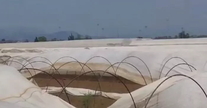 Antalya da iki doğal afet birden! Bu sefer de hortum seralara zarar verdi