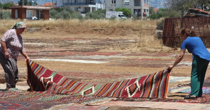 Antalya dan ABD ye yollanıyor: Fiyatı 8 bin dolara kadar çıkıyor