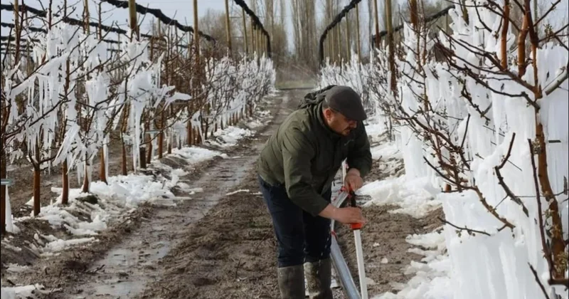 Donun vurduğu 1.925 tarla satışa çıkarıldı Sözcü Gazetesi