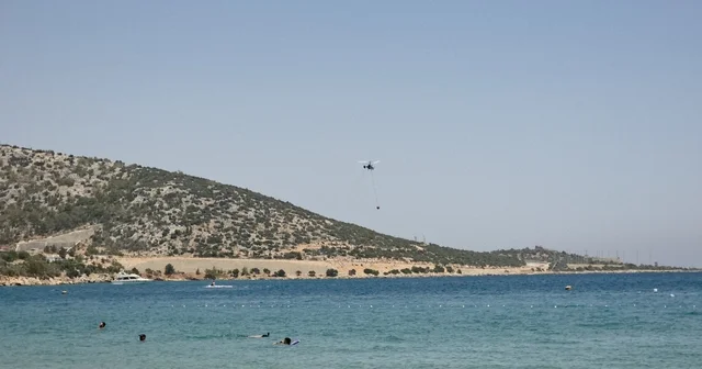 Mersin de ağaçlık alanda yangın çıktı Mersin Haberleri