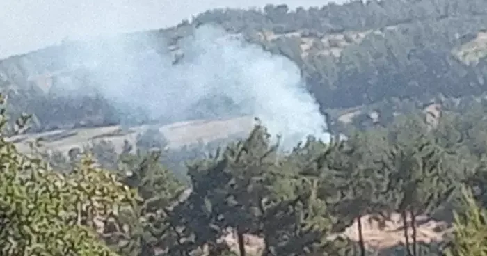 Denizli’de sabaha karşı başlayan orman yangını hızlı müdahaleyle söndürüldü