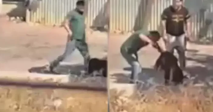Ümraniye de korku dolu anlar: Sokak ortasında kafasına silah dayadığı kadını darbetti!
