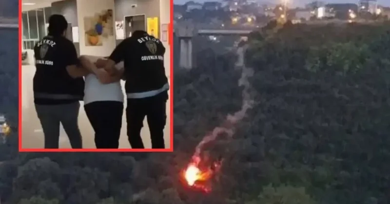 İstanbul da işaret fişeğiyle ormanı yakan şahıs gözaltına alındı