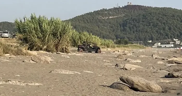 Antalya’da caretta caretta yuvaları zarar gördü