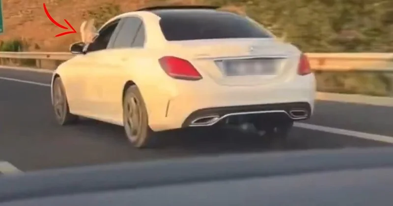 Herkesin hayatını tehlikeye attı! Ayaklarını çıkartan kişi Başsavcıymış