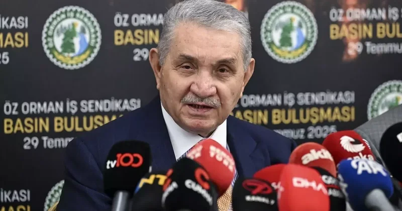 Ormanlar yangınları sürerken sendika greve hazırlanıyor