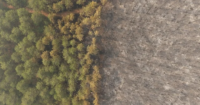 Bursa daki orman yangını 4 üncü gününde; yanan alanlar dronla görüntülendi Bursa Haberleri