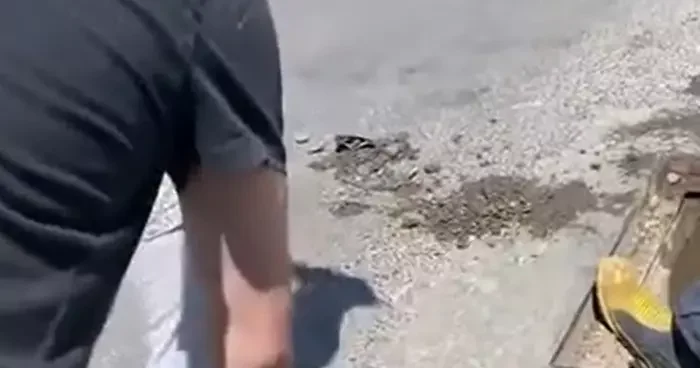 Yalova’da anne kedi ve dört yavrusu sıkıştıkları yağmur suyu kanalından kurtarıldı