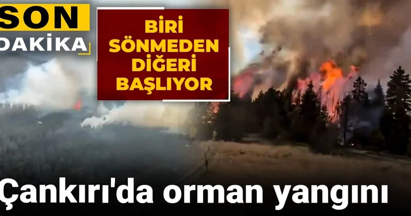 Son dakika... Biri sönmeden diğeri başlıyor: Çankırı da orman yangını