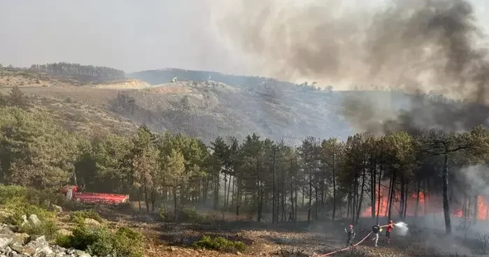 Kocaeli den Bursa daki orman yangınına söndürme desteği